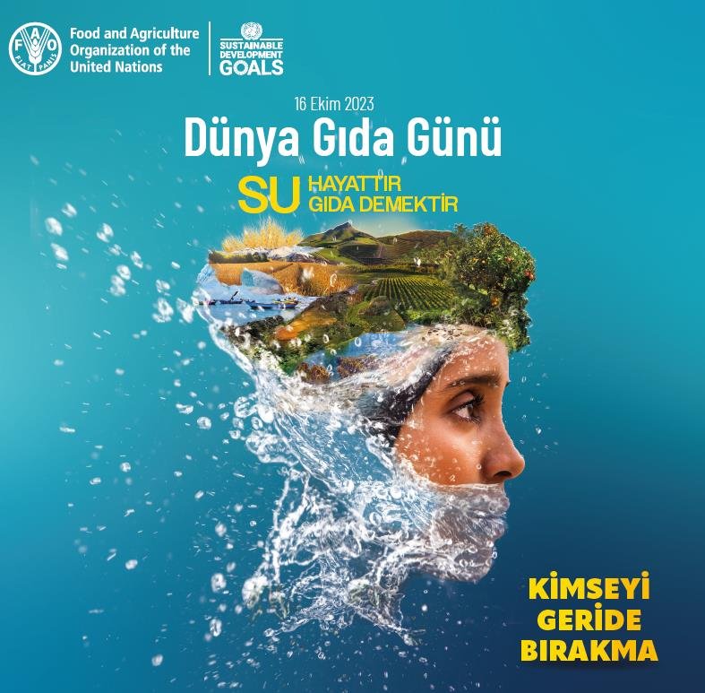 Suyun İzinde Küresel Gelişmeleri Anlamak