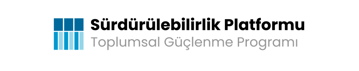 Toplumsal Güçlenme Programı